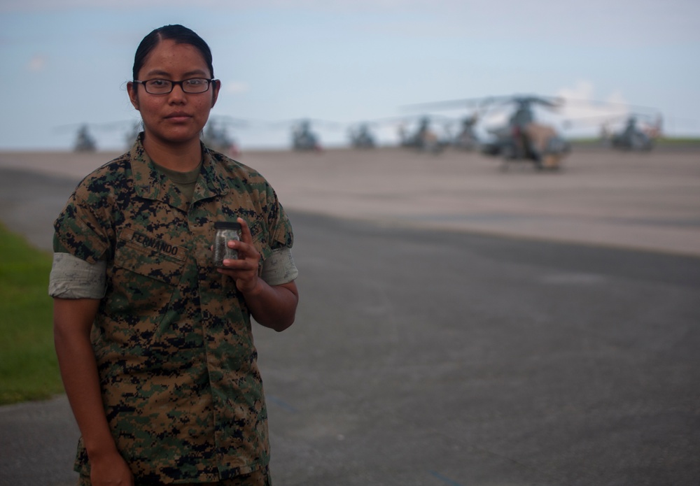 Marine visits battleground at which her grandfather fought serving as a Navajo Code Talker