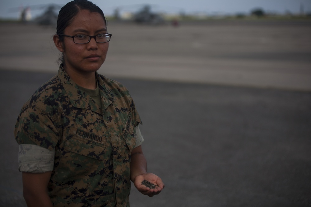 Marine visits battleground where grandfather served as a Navajo Code Talker
