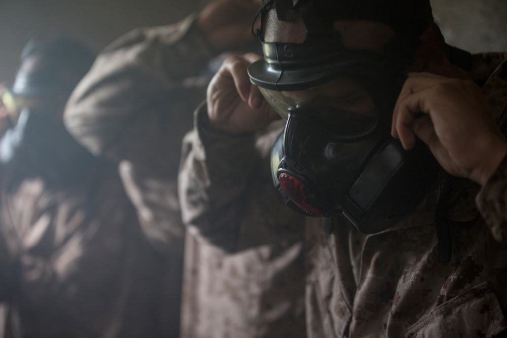 Parris Island recruits brave gas chamber