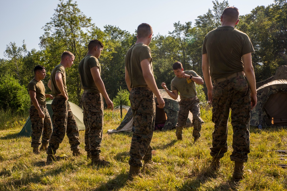 Reserve Marines Demonstrate Spectrum of Capabilities during Northern Strike 17