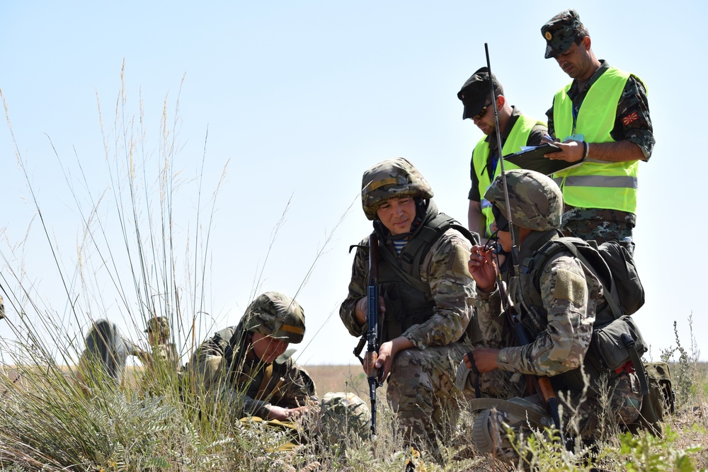 Exercise Steppe Eagle 17 sharpens soldiers' skills