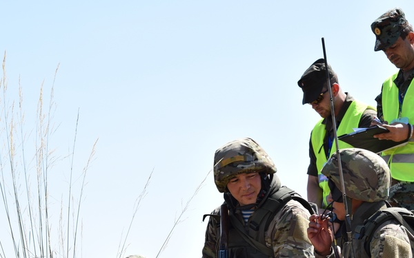 Exercise Steppe Eagle 17 sharpens soldiers' skills