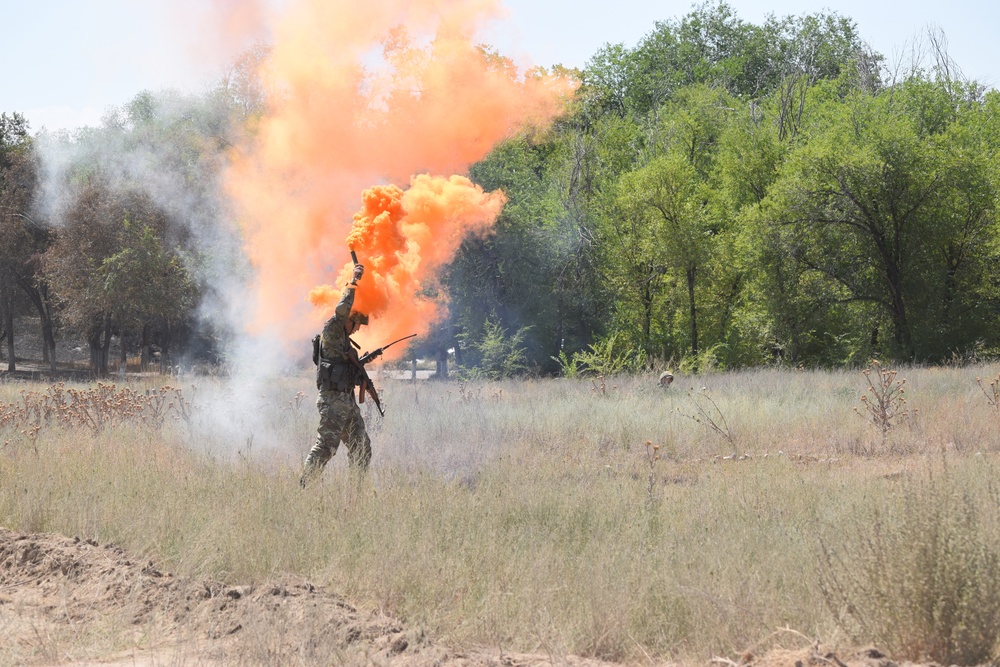 Exercise Steppe Eagle 17 sharpens soldiers' skills