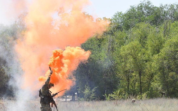 Exercise Steppe Eagle 17 sharpens soldiers' skills