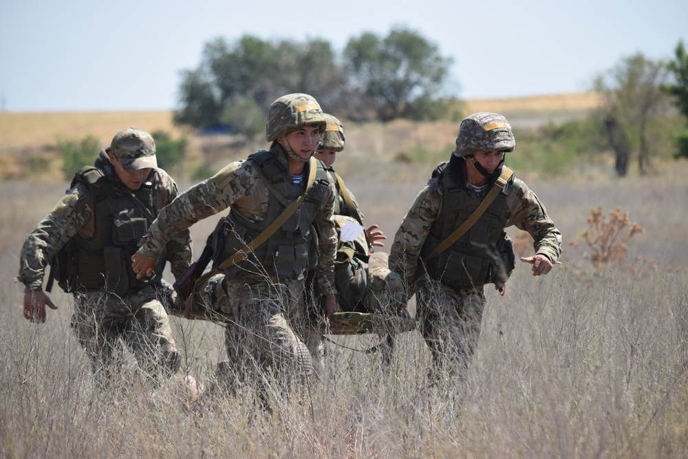 Exercise Steppe Eagle 17 sharpens soldiers' skills