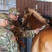 Horse Detachment Teaches Mule Packing