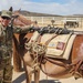 Horse Detachment Teaches Mule Packing