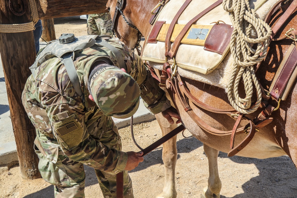 Horse Detachment Teaches Mule Packing