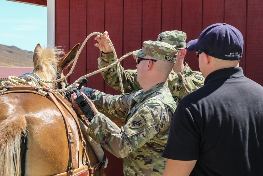 Horse Detachment Teaches Mule Packing