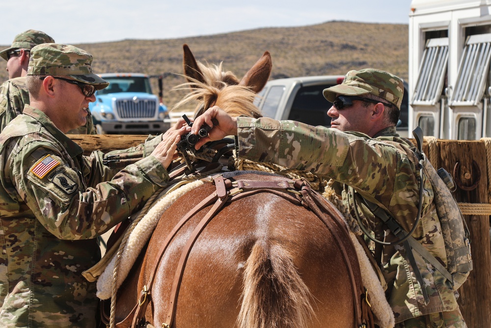 Horse Detachment Teaches Mule Packing