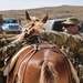 Horse Detachment Teaches Mule Packing