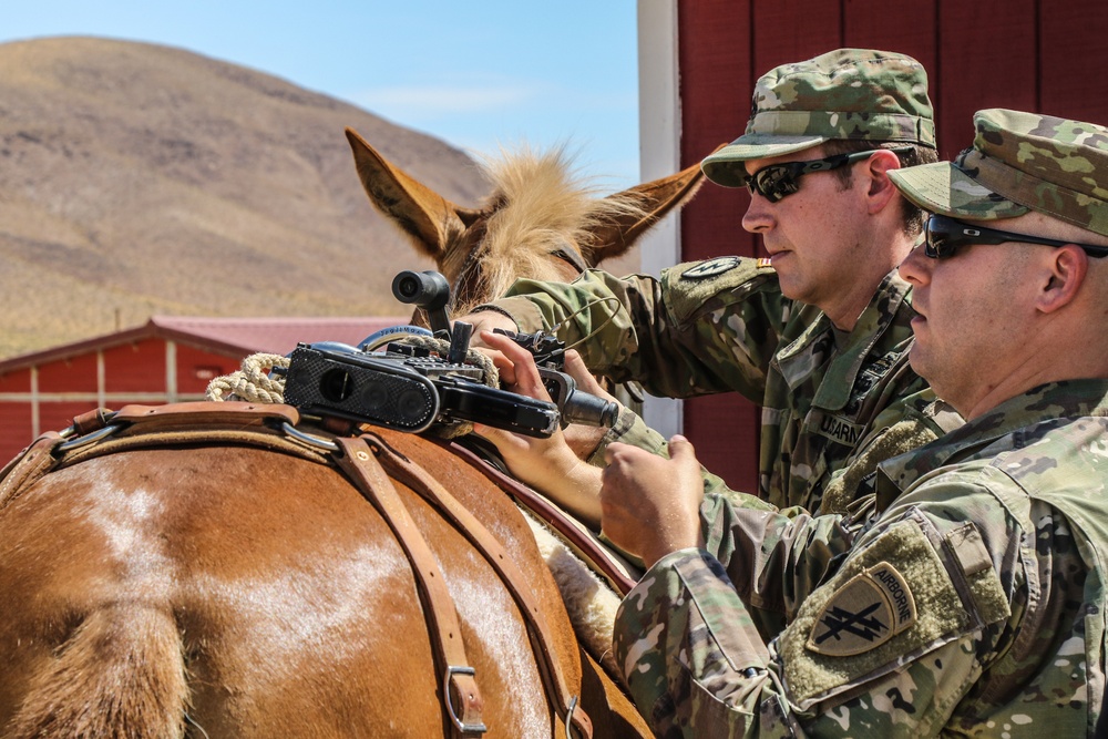 Horse Detachment Teaches Mule Packing