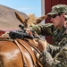 Horse Detachment Teaches Mule Packing