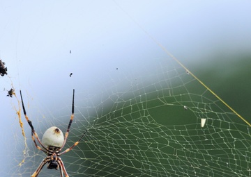 Exercise Tafakula 17 Medical Team Image 5 of 5