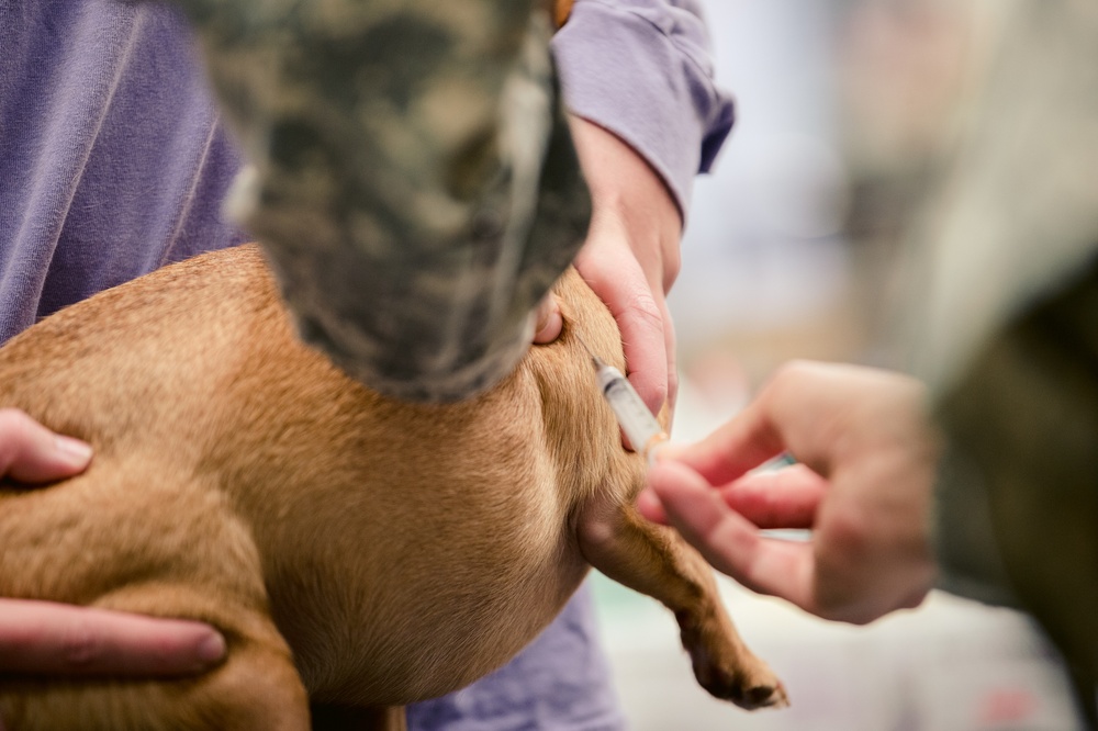 Joint Service Mission Begins Providing Health Care to Communities