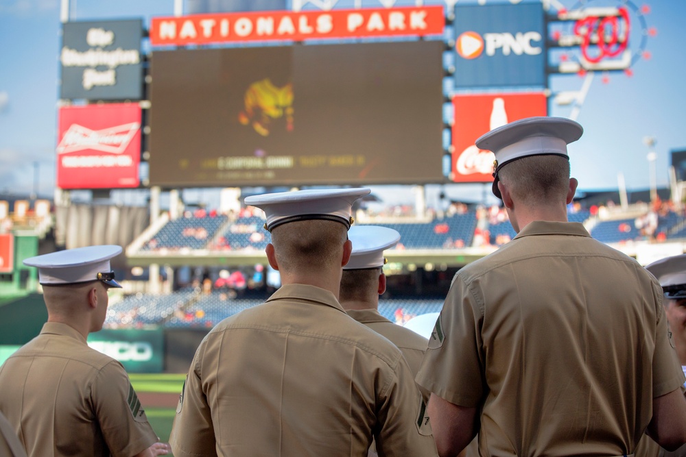 Washington Nationals USMC day July 25, 2017