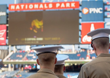 Washington Nationals USMC day July 25, 2017