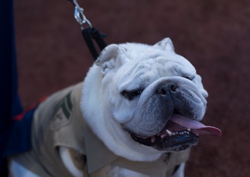 July 25 Nationals Game