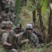 101 Division (Air Assault) Soldiers train alongside Gabonese counterparts during Judicious Activation ’17-2