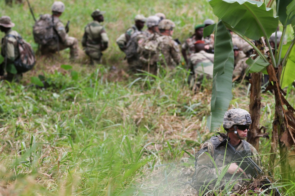 101 Division (Air Assault) Soldiers train alongside Gabonese counterparts during Judicious Activation ’17-2