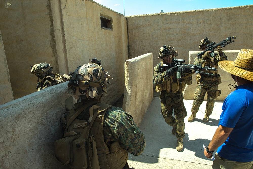 2nd Battalion, 4th Marine Regiment Prime Time Training