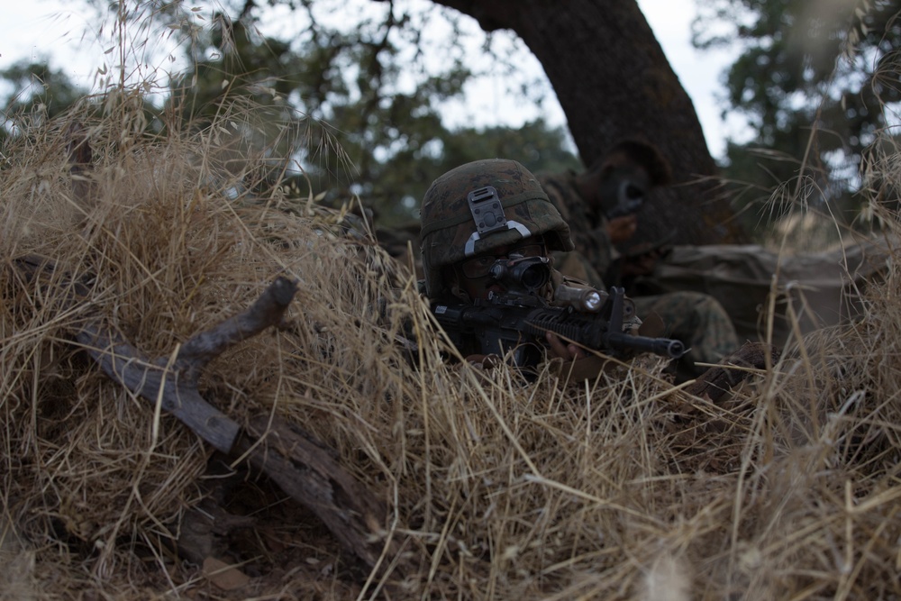 2nd Battalion, 4th Marine Regiment Prime Time Training