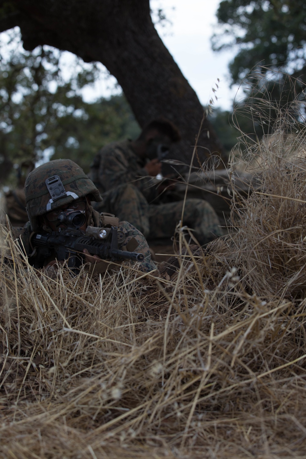 2nd Battalion, 4th Marine Regiment Prime Time Training