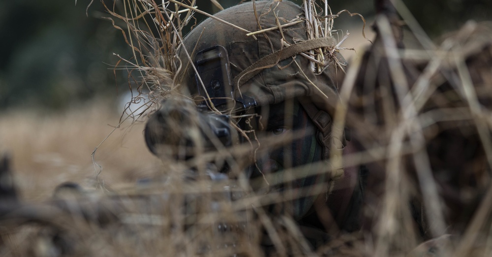 2nd Battalion, 4th Marine Regiment Prime Time Training