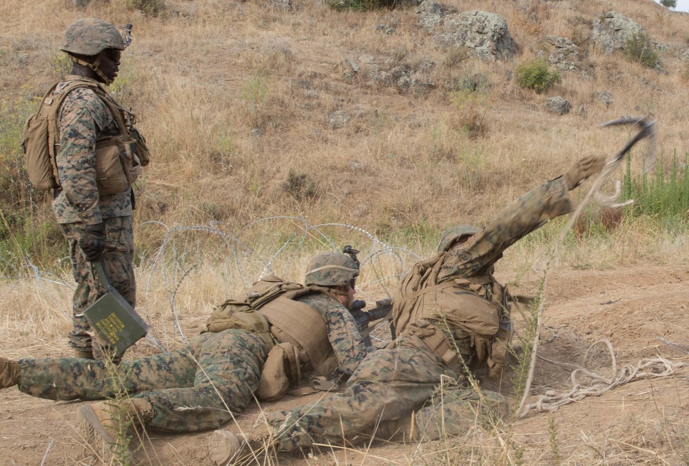 2nd Battalion, 4th Marine Regiment Prime Time Training