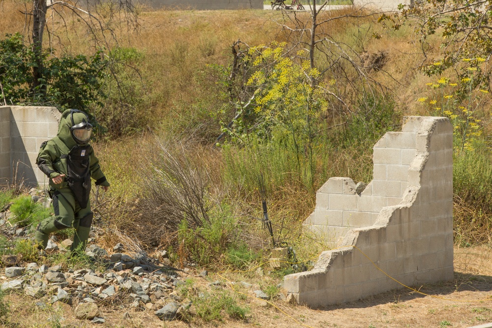 Raven's Challenge Camp Pendleton