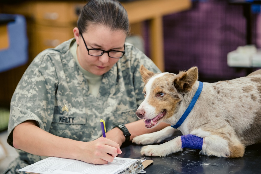 Smoky Mountain Medical Continues to Provide Health Care for North Carolina Residents