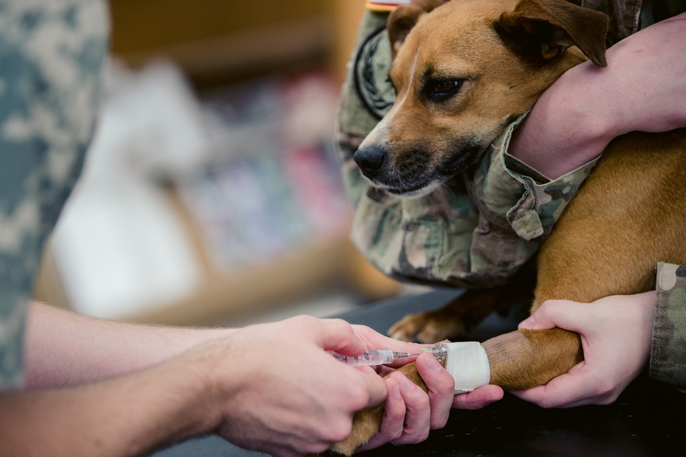 Smoky Mountain Medical Continues to Provide Health Care for North Carolina Residents