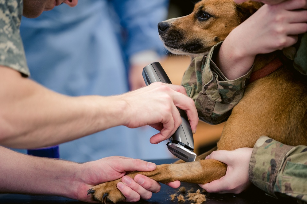 Smoky Mountain Medical Continues to Provide Health Care for North Carolina Residents