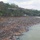 ‘PRIDE of the Cumberland’ clearing debris, trash on Lake Cumberland