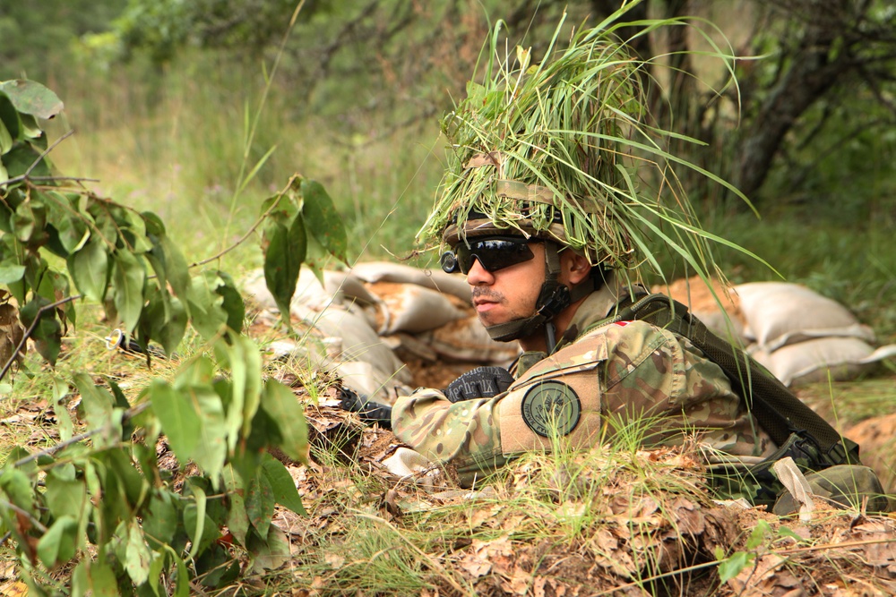 Danish Army Home Guard Defense Operation