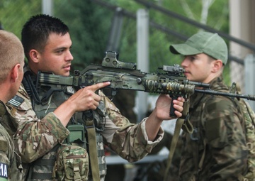 Can I see your weapon? NS 17