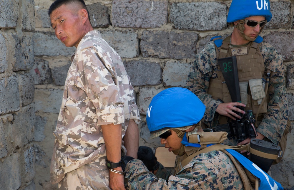 U.S. Marines with 3rd Law Enforcement Battalion cordon and search a mock village during Exercise Khaan Quest 2017