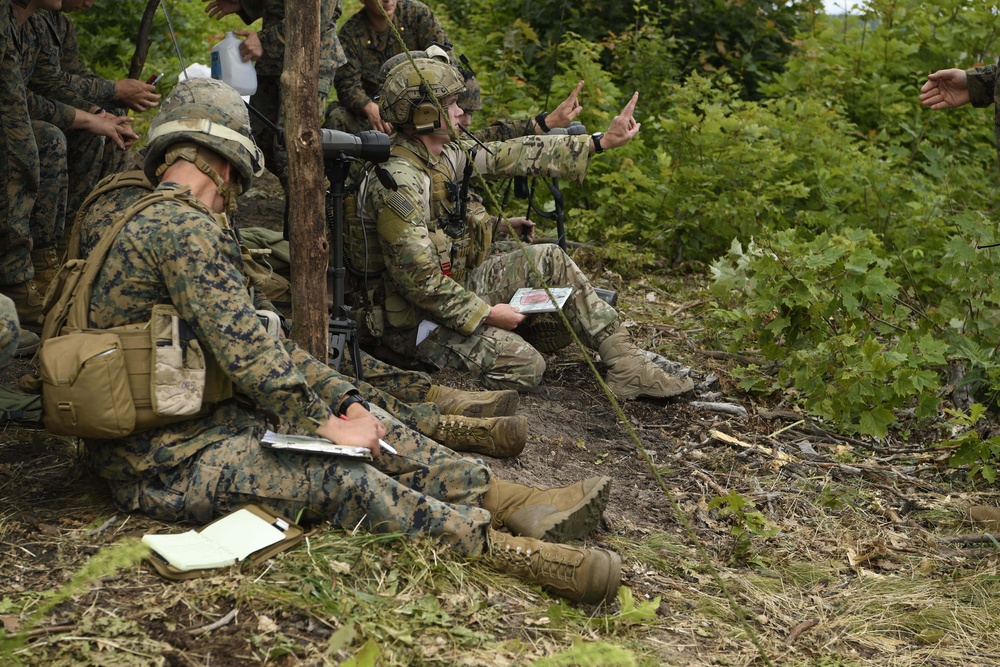 Coalition forces train at Northern Strike