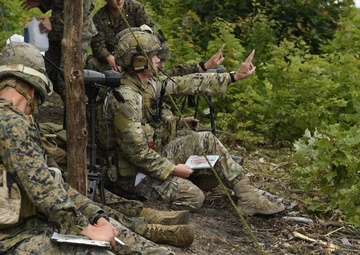 Coalition Forces Train at Northern Strike 17