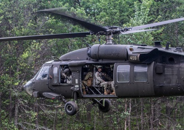 The British are coming...to Michigan