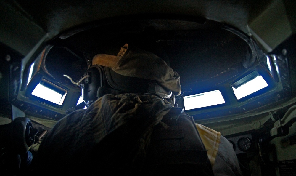 Through the Eyes of an AAV