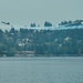 Blue Angels Soar Over Lake Washington
