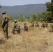 Platinum Lion 17.2: U.S. Marines work with Serbian and Romanian forces during a platoon attack exercise