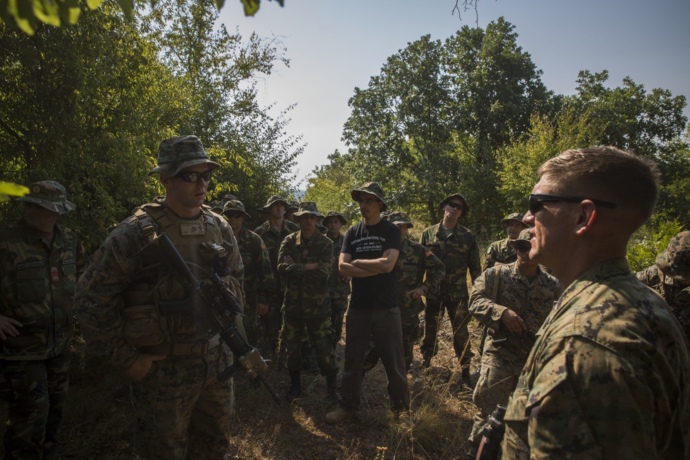 Platinum Lion 17.2: U.S. Marines work with Moldovan and Macedonia forces during a patrol exercise