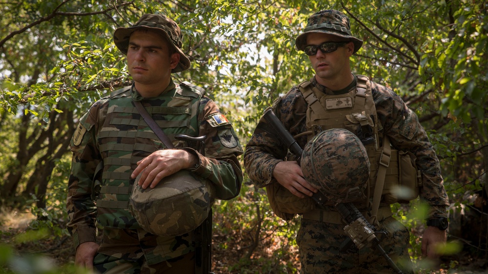 Platinum Lion 17.2: U.S. Marines work with Moldovan and Macedonia forces during a patrol exercise