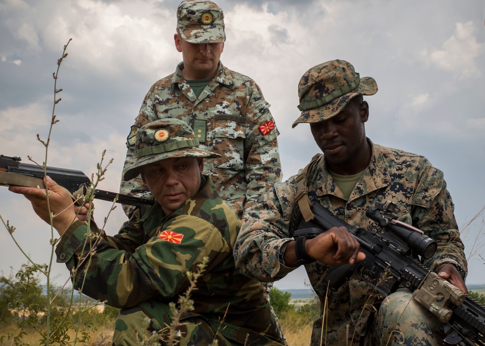 Platinum Lion 17.2: U.S. Marines work with Moldovan and Macedonia forces during a patrol exercise