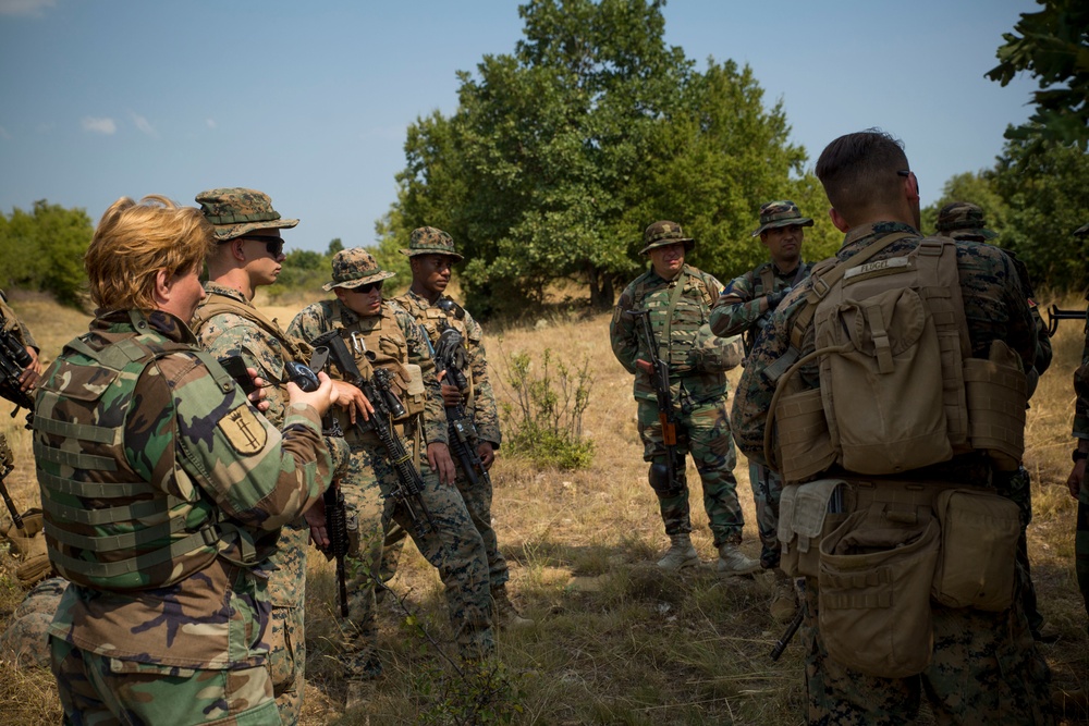 Platinum Lion 17.2: U.S. Marines work with Moldovan and Macedonia forces during a patrol exercise