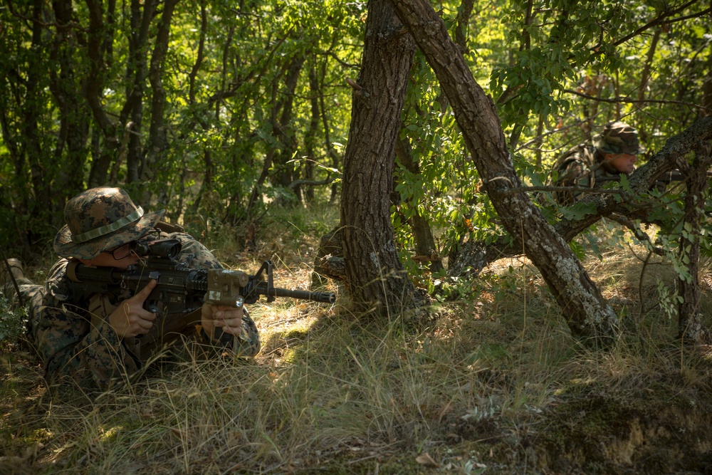 Platinum Lion 17.2 U.S. Marines work with Moldovan and Macedonia forces during a patrol exercise