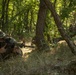 Platinum Lion 17.2 U.S. Marines work with Moldovan and Macedonia forces during a patrol exercise