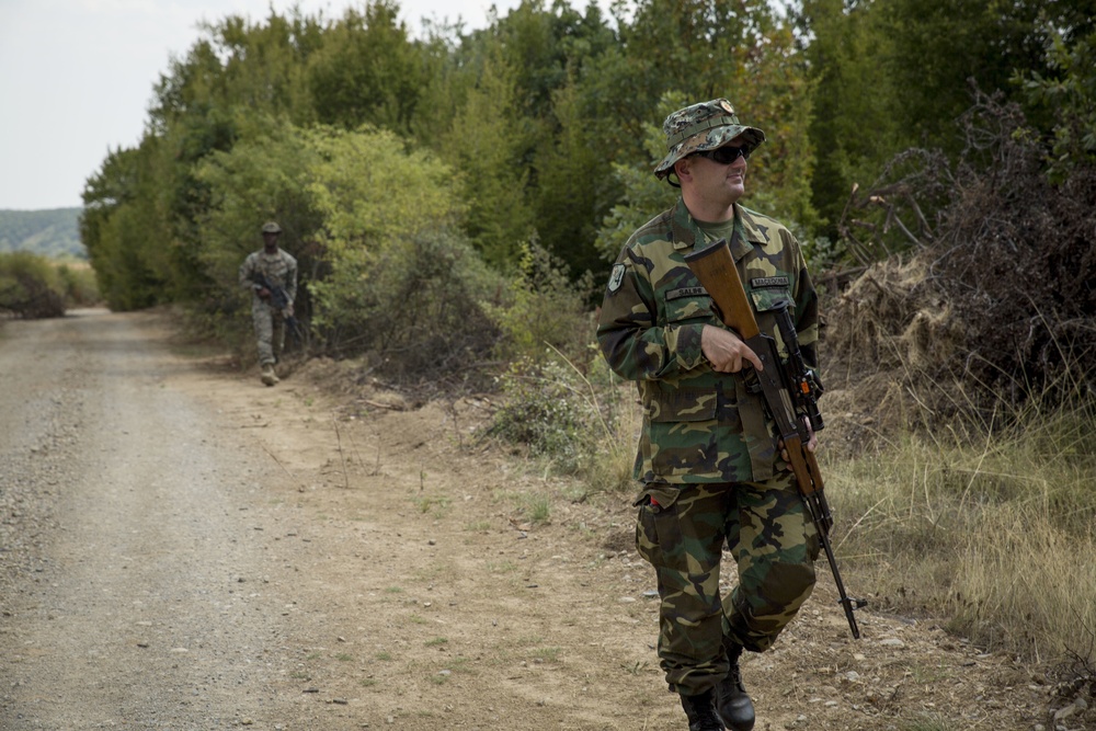 Platinum Lion 17.2: U.S. Marines work with Moldovan and Macedonia forces during a patrol exercise